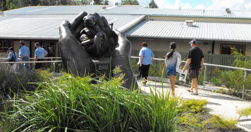 CONCERNS RAISED: Biosecurity Queensland is investigating complaints about the Australia Zoo Wildlife Hospital. CONCERNS RAISED: Biosecurity Queensland is investigating complaints about the Australia Zoo Wildlife Hospital.